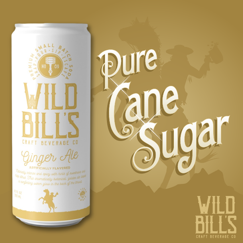Ginger Ale - Premium Cane Sugar Soda, Cans