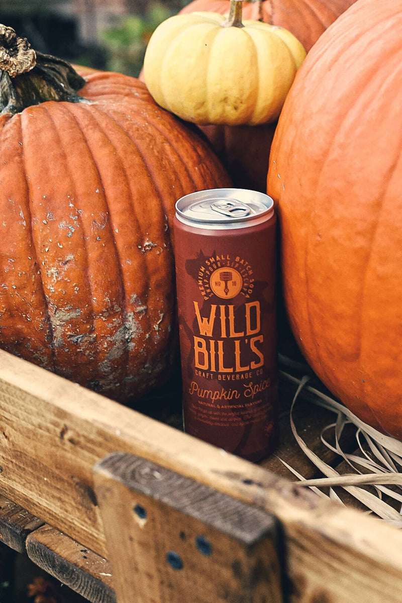 Pumpkin Spice - Premium Cane Sugar Soda, Cans