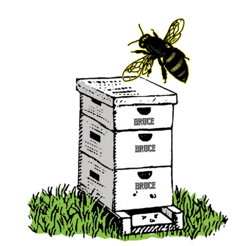 Orange Blossom Honey 16oz