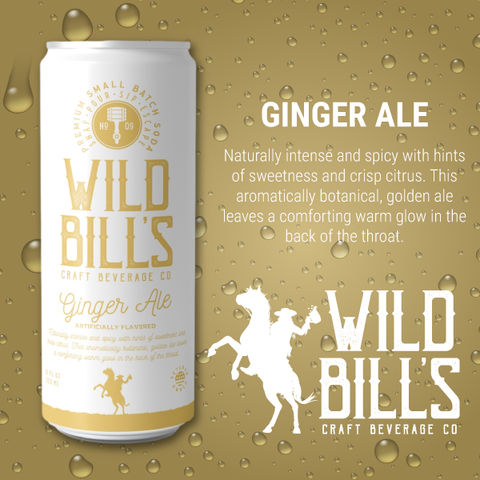 Ginger Ale - Premium Cane Sugar Soda, Cans